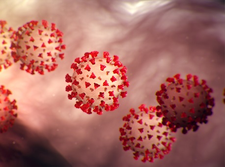 10-11-2020 boletim-covid-19