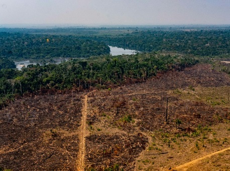 30-11-2020 desmatamento-na-amazonia-cresce-pelo-4-ano-seguido