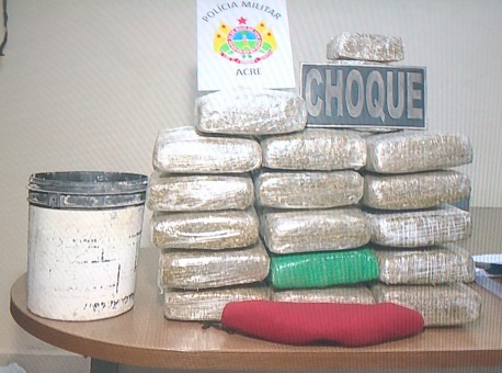 12-12-2020 policia-militar-apreende-pé-de-maconha-e-180kg-da-droga-prensada