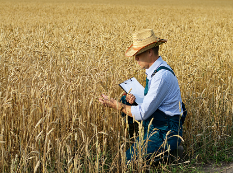 15-12-20-Vagas Senar