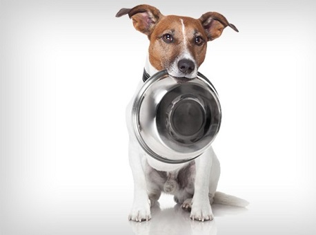 15-12-2020 oab-ac-promove-campanha-natal-animal-de-doação-de-ração