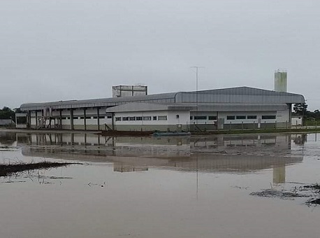 23-12-20-peixes-da-amazonia-alagado