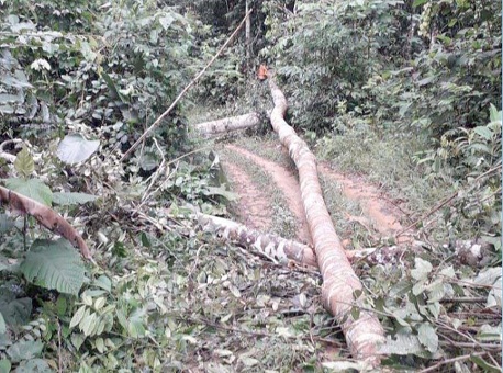 10-02-21-Pecuarista invadem Reseva Natural