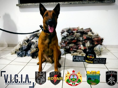 10-02-21-apreensao-cocaina-jurua