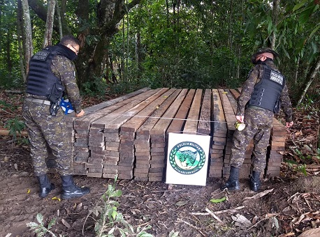15-02-21-apreensão-madeira-cruzeiro-do-sul