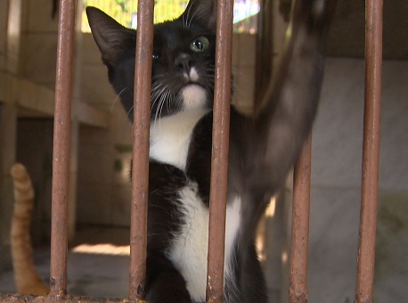 07-04-21-Abril laranja