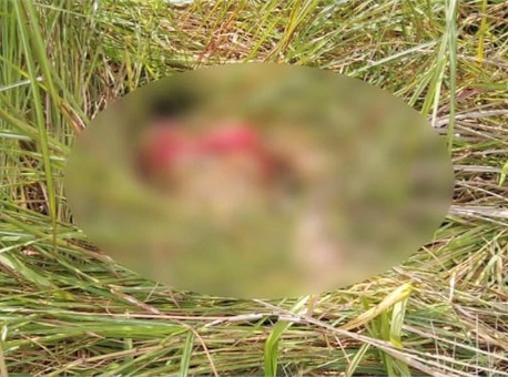 16-04-21-Mulher morta na Cidade do Povo