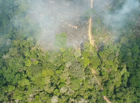 06-05-21 batalhão-de-policiamento-ambiental-e-imac-divulgam-resultados-de-operação-em-acrelandia