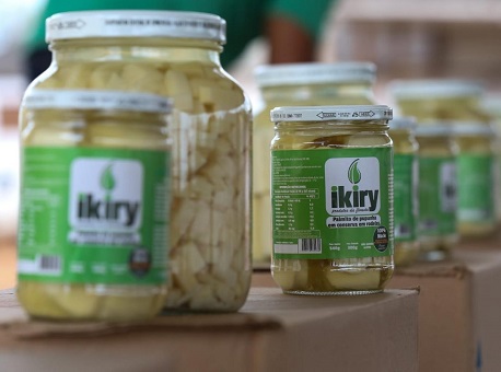 12-06-21 ikiry-palmito