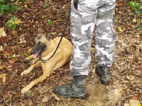 16-06-21 Audiência-de-instrução-do-caso-Raquel-Melo-acontece-nesta-quarta-feira