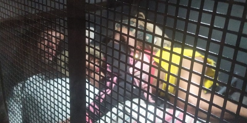 Casal invade casa e troca carícias em viatura após prisão