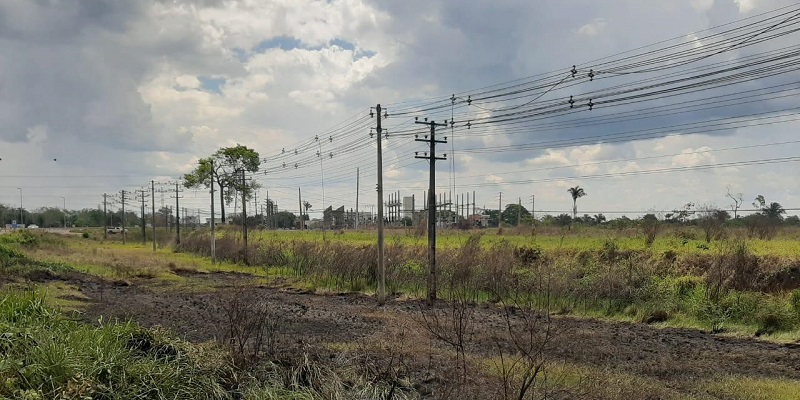 Energisa alerta sobre riscos de queimadas  próximas à rede elétrica