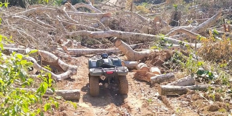 Quatro pessoas são presas por desmatamento ilegal no Acre