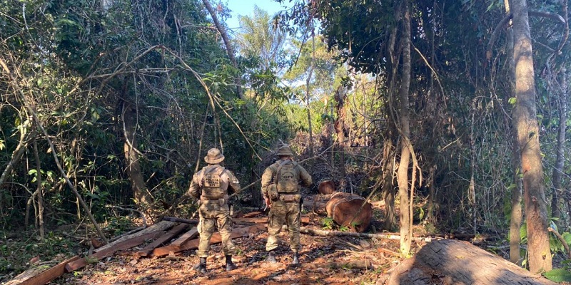 Polícia Federal e ICMBio apreendem 2 toneladas de pescado