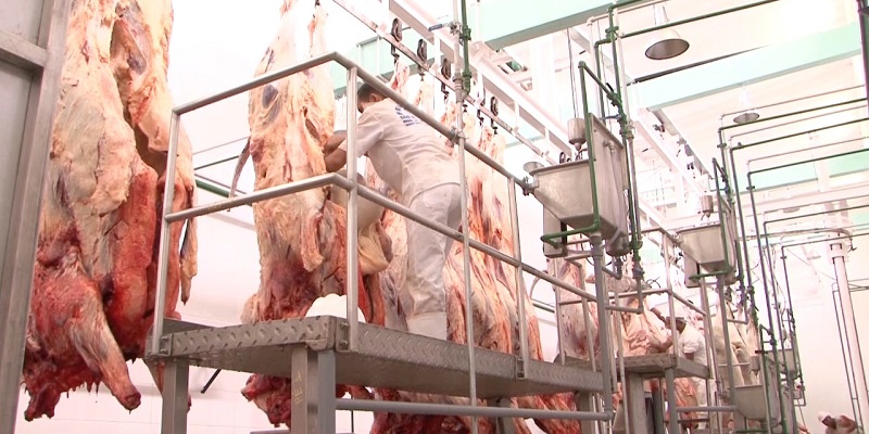 Queimadas e falta de chuva podem aumentar preço da carne bovina