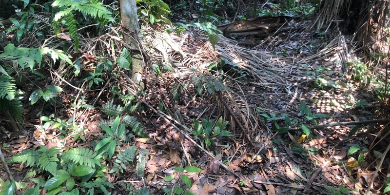 Cinco pessoas são presas em Feijó por morte de adolescente