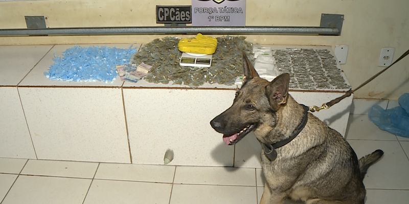 Trio é preso com cocaína, maconha e merla no bairro Vila Betel