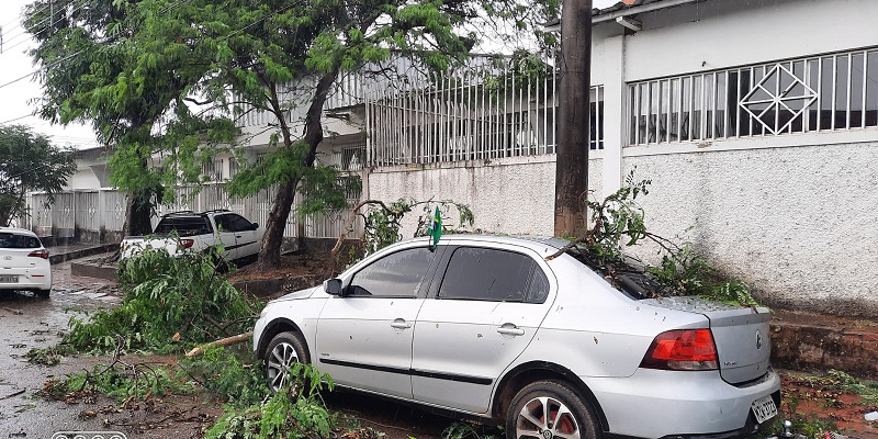 Com forte temporal, árvore cai ao lado do Pronto Socorro