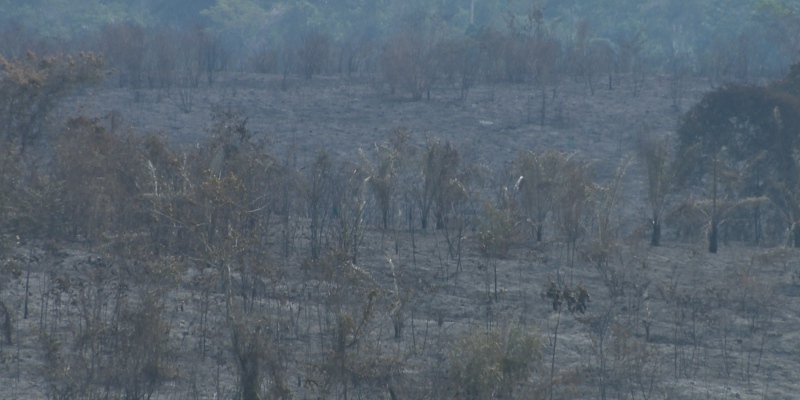 Acre ocupa 4° posição em queimadas no mês de setembro