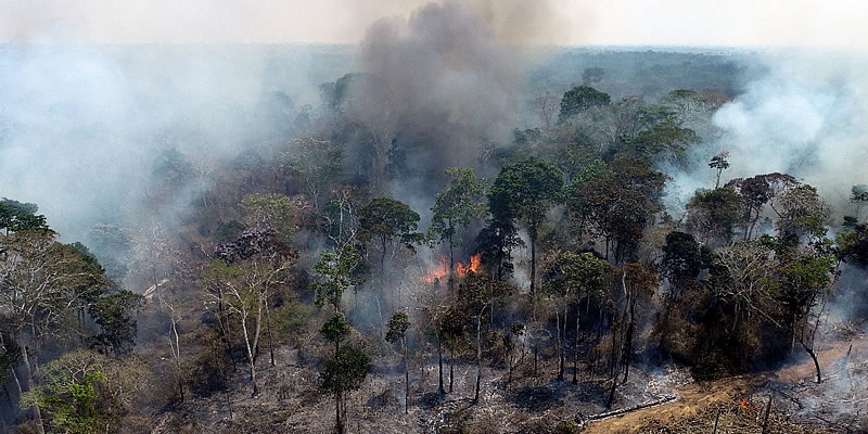 Incêndio que atingiu área da Embrapa foi controlado