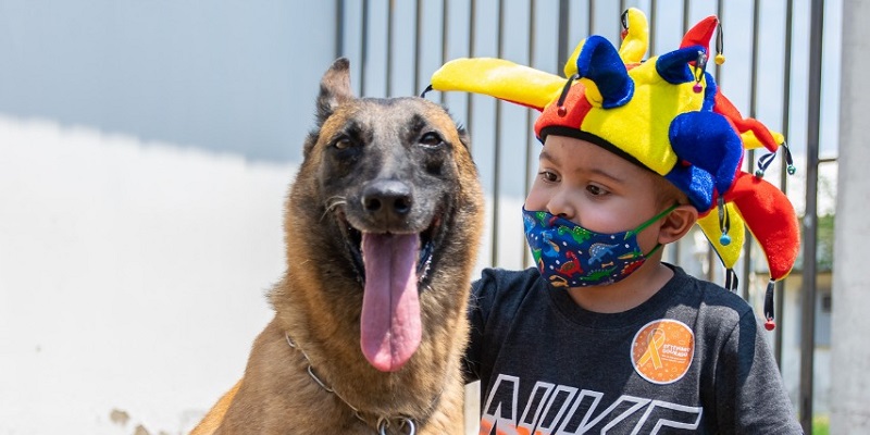 Crianças em tratamento de câncer recebem visita de cães militares