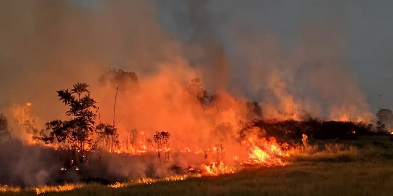 Acre é o estado brasileiro que mais registrou queimadas em setembro