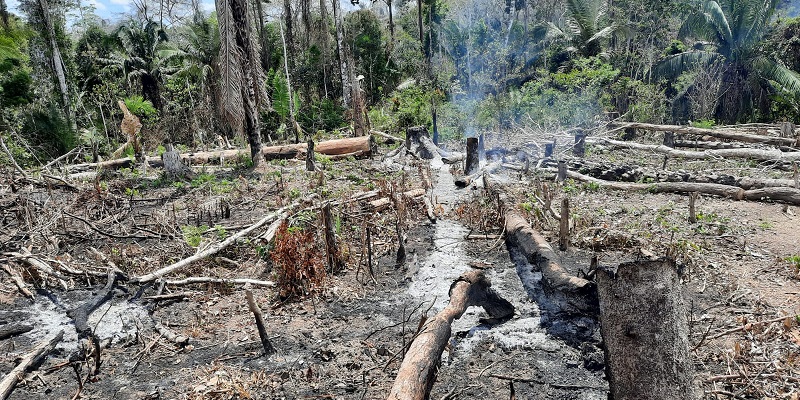 Em Manoel Urbano, oito pessoas são presas por invasão de terras