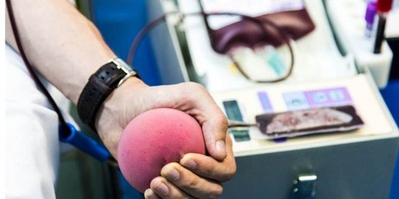 Vereadores da capital aprovam PL que beneficia doadores de sangue