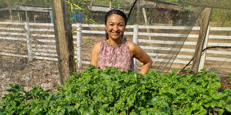 Professora desenvolve pesquisa com PANC no Acre