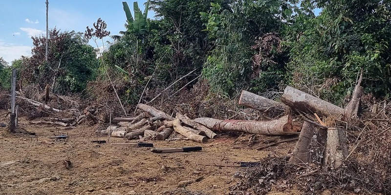 Ex-parlamentar é alvo de operação contra invasão de terras federais