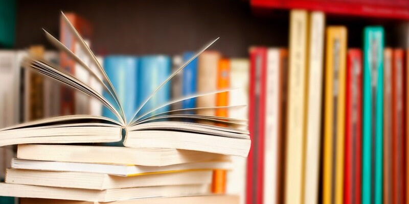 Sobre livros e leituras por Pâmela Freitas