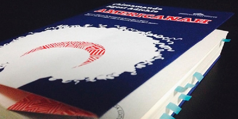 Americanah: um romance necessário, que fala sobre raça, gênero e migração