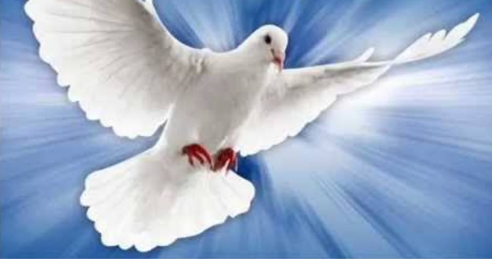 MINHA PAZ DE ESPÍRITO,  O MEU SOSSEGO E A CONTINUAÇÃO DA MINHA FÉ