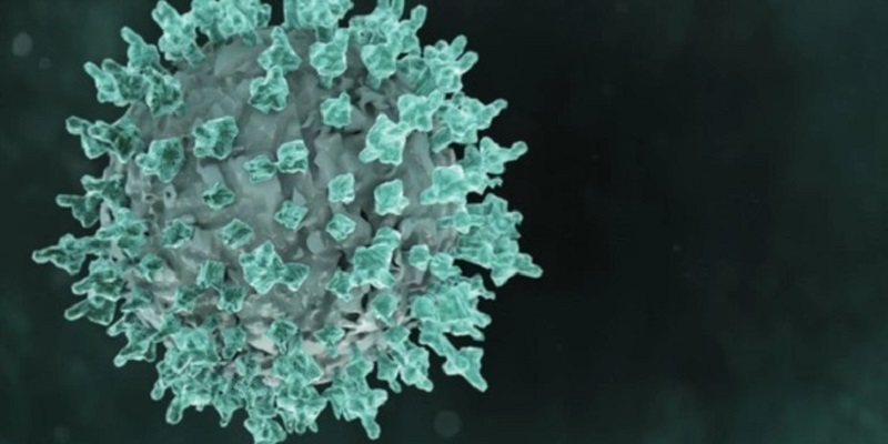 Terceiro caso da variante Ômicron é confirmado no Brasil