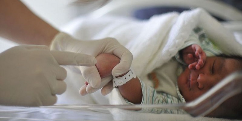 Miguel e Helena lideram ranking de nomes mais comuns no Brasil