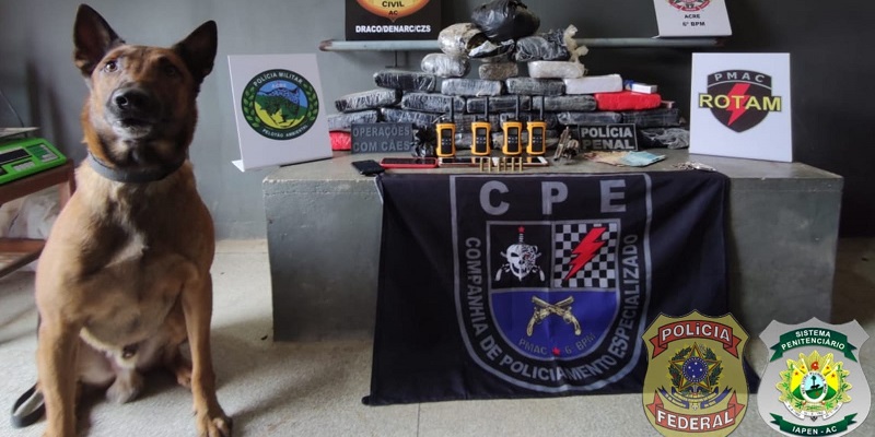 Uma pessoa é presa e um menor apreendido com 27 kg de drogas