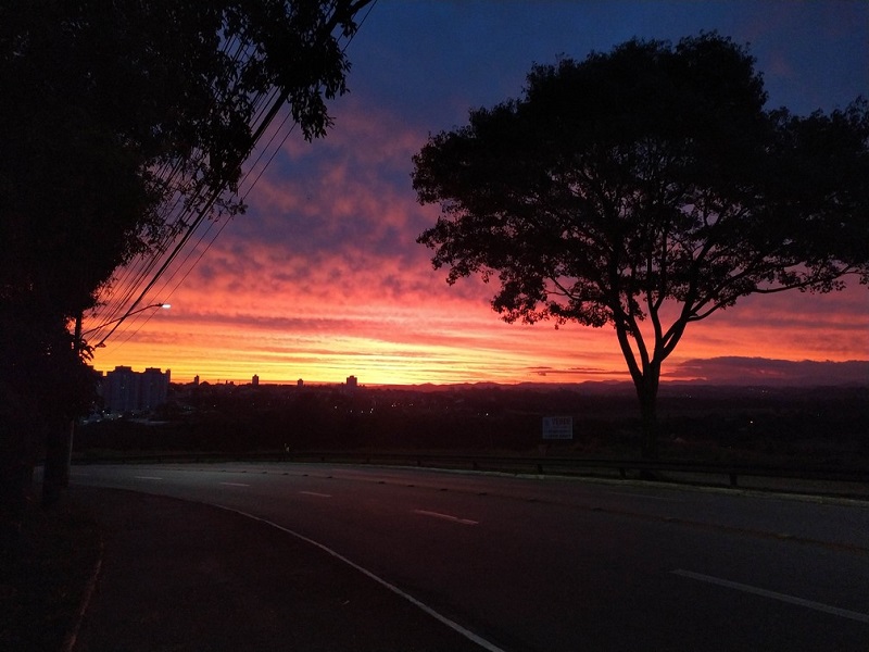 Sobre a gratidão pela vida