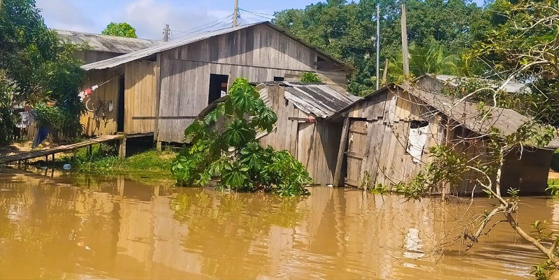 Em Feijó, mais de 300 famílias são atingidas pela cheia do rio Envira