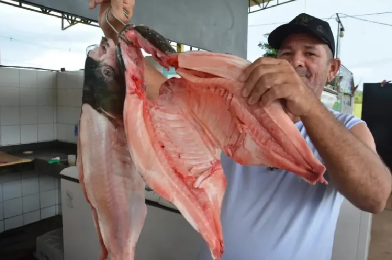 Feira do Peixe e Agricultura Familiar inicia nesta quarta-feira na capital