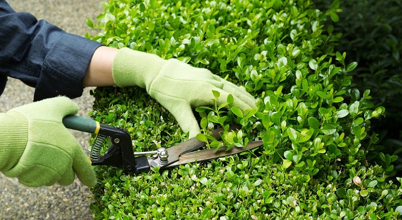 Sine oferece 85 vagas de emprego para Rio Branco nesta terça-feira