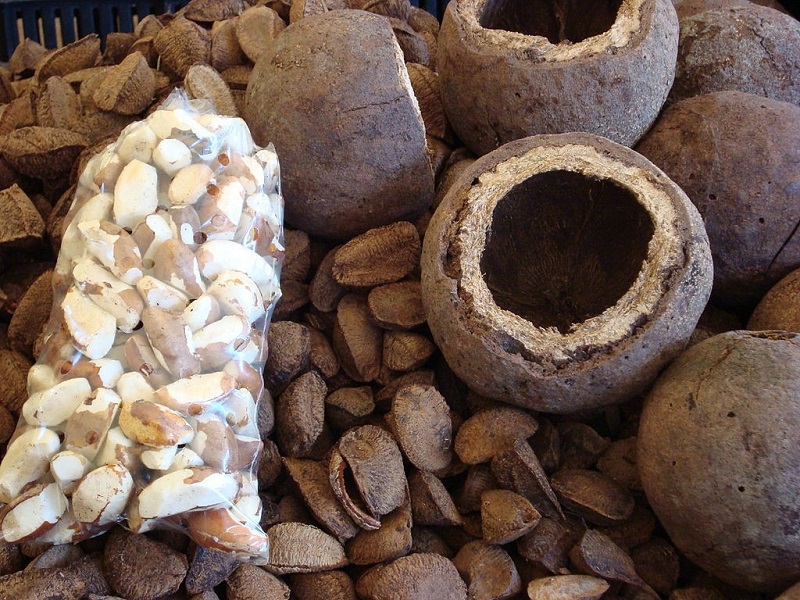 Piratas da Castanha: homens armados roubam produtores em Rio Branco