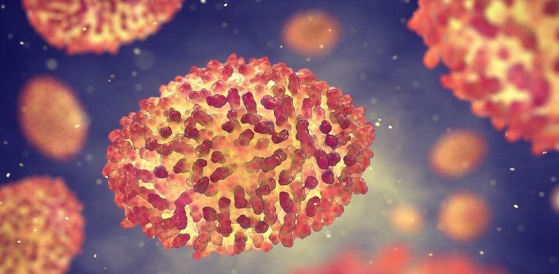 Acre monitora mais dois possíveis casos de Varíola do Macaco em Cruzeiro do Sul