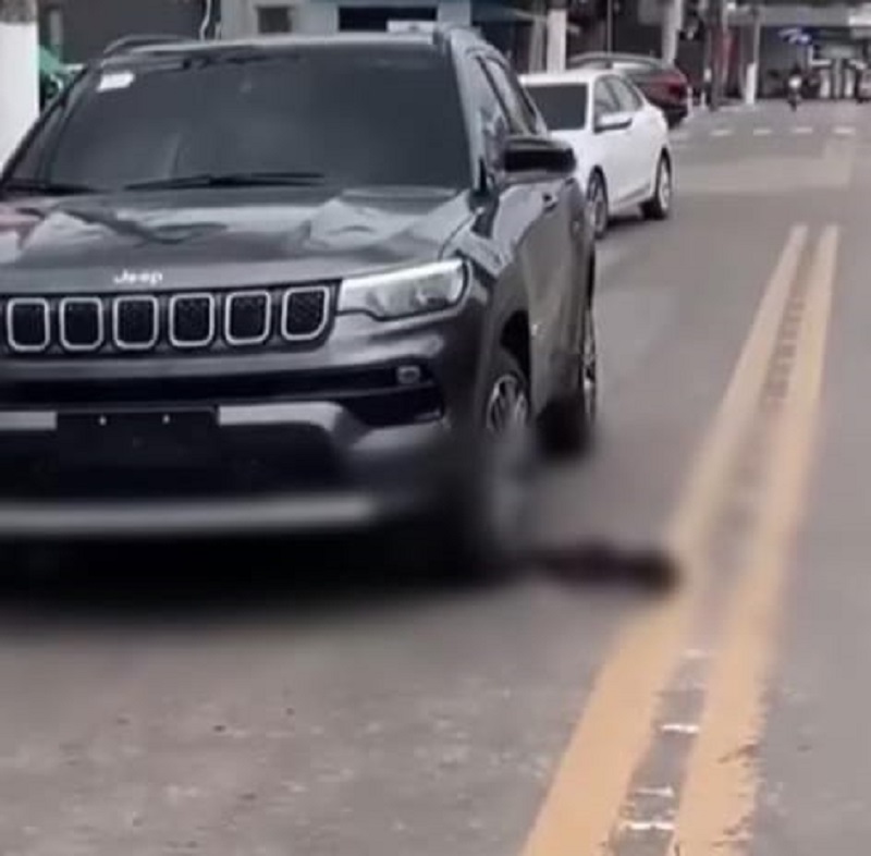 Motorista é flagrada atropelando cachorro no bairro Cerâmica