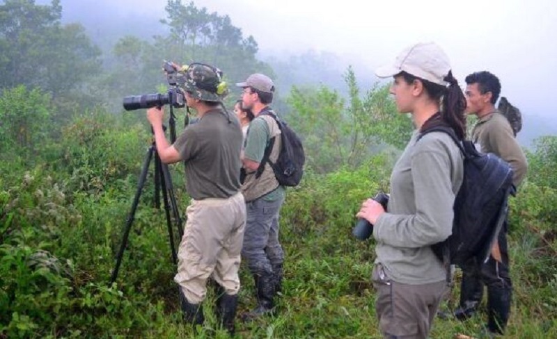 Sine oferece 31 vagas de emprego para Rio Branco nesta segunda-feira
