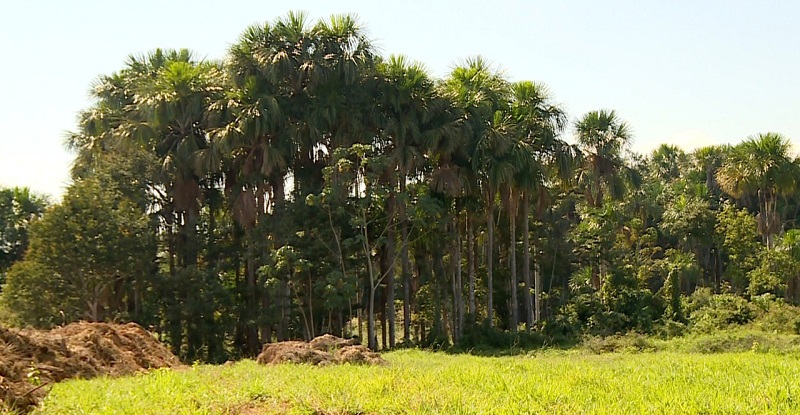 Prefeitura pretende voltara perfurar poços no Segundo Distrito