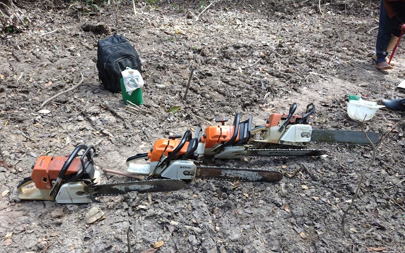 Cinco pessoas são presas por desmatamento ilegal durante operação no Acre