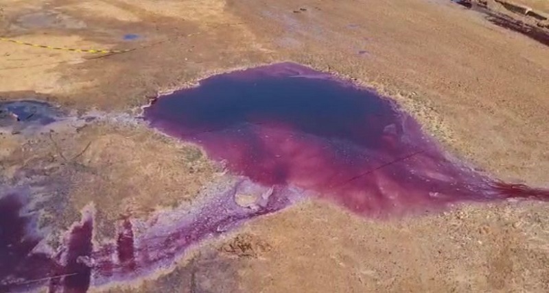 Defesa Civil oficia órgãos ambientais sobre possibilidade de agrotóxicos e veneno em igarapé de Rio Branco