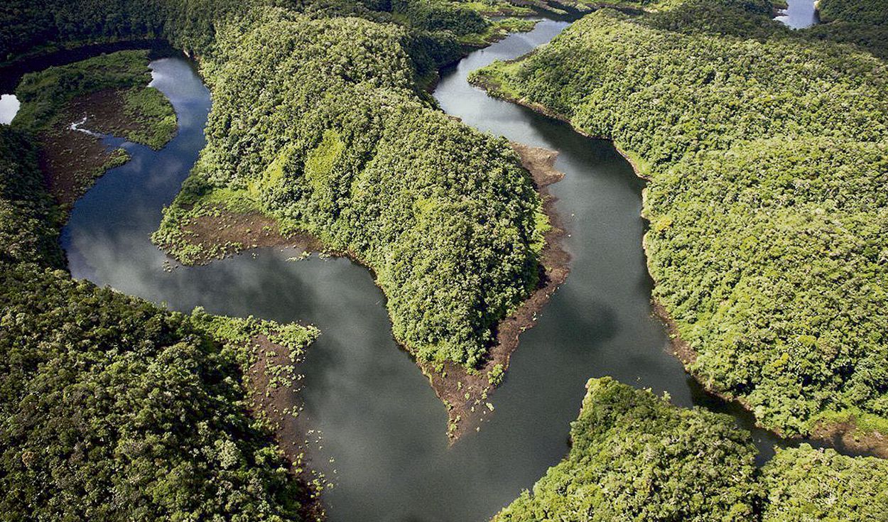 A insustentável (lerdeza) de viver