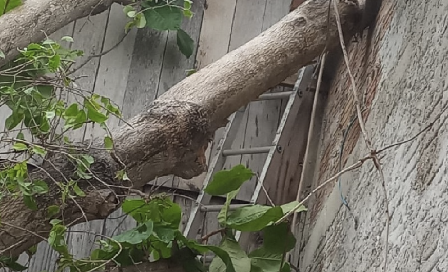 No Acre, chuva de granizo, temporal e fortes rajadas de ventos foram registrados neste domingo
