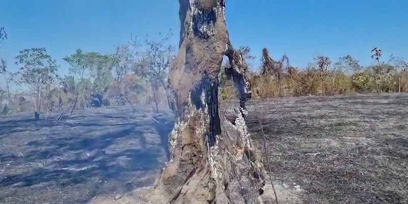 Área de Proteção Ambiental no Irineu Serra sofre crime ambiental em Rio Branco